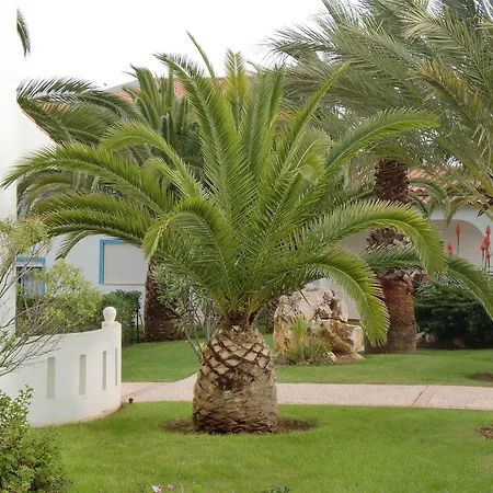 Ponta Grande Carvoeiro Village de vacances 3*